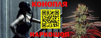 прущие грибы Тула