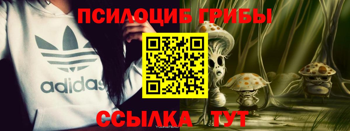 Псилоцибиновые грибы прущие грибы  Вход с VPN  Ульяновск 